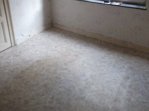 Parquet 1 01