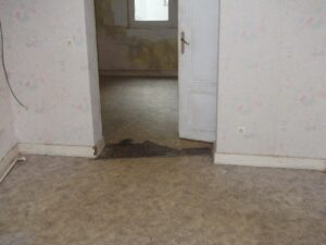 Parquet 1 02